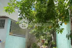 Bán đất vàng trung tâm q9 còn sót lại, dt 84m² 4x21m, gần đường dương đình hội, chỉ 4.7 tỷ