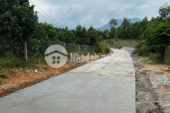 Bán vườn bưởi khánh bình đường oto cách ủy ban xã chỉ 800m