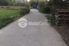 Đất hành lạc ngõ 2m 50m giá 1 tỷ lh 0362554684