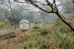 Cắt lỗ đất nền sapa vị trí đẹp cạnh hang đá tả phìn