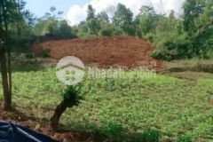 Cắt lỗ mảnh đất ở y tý nằm trong khu bảo tồn văn hóa hà nhì