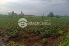 Chính chủ bán 6868m2 đất phước long thọ, shr chỉ 9.3 tỷ. lh0901757660