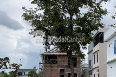 Lô đất mặt tiền lê quý đôn, adb, tam kỳ 137m2 3,3x tỷ