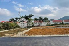 Đầu tư vào bđs ko bao giờ là lỗ đông anh mảnh đất phù sa sinh lời từng giờ từng phút