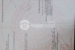 Bán vườn trái cây tại xã châu đức, bà rịa vũng tàu 2400m