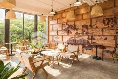 Cho thuê nhà 5 tầng lê duẩn, ngang 7m