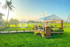 Không tìm đâu ra tới 2154m2 view đồng lúa tuyệt đẹp mà giá rẻ đến thế tại hòa vang