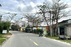 Bán đất diện tích lớn kinh doanh view cánh đồng, nhà vườn