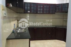 Cho thuê biệt thự mini dt ngang 11m x dài 14m quận 7 gần sunrise cityview lh 0902799323