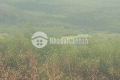 Bán đất làm du lịch di sanr đá đĩa