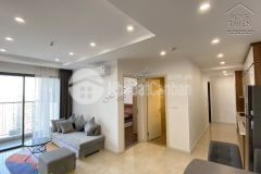 Chung cư vinhomes dcapitale trần duy hưng cho thuê căn 2 ngủ 2 vệ sinh full nội thất tầng cao view thoáng