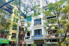 Nhà nguyên hồng, view sân chơi. 51m2, 5t, mặt tiền 4m, giá 12 tỷ