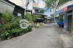 Hàng sắp tiệt chủng ni sư huỳnh liên giá 1.7 tỷ 0786661212