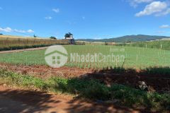 Duy nhất ngày hôm nay 1 lô giá ngộp giá còn 140trm2