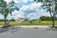 Cc gử bán gấp lô đất 100m full thô cư, qln2 đức hoà long an chỉ 890tr