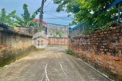 𝐂𝐡𝐢 5xxtr sở huxu ngay gần 80m2 ngay sat trục thôn tam kiệt, hữu bằng, kiến thụy