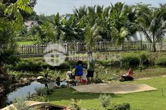 Nhà eakao gần 2 sào có 500m thổ cư giá chỉ 4,5 tỷ