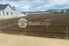 Tri ân khách hàng dành cho các nhà đầu tư giá f0 cực rẻ chỉ với 140trm