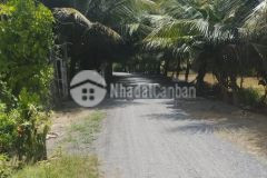 4000m2 đất nghĩ dưỡng mặt tiền nhựa song bình chợ gạo tiền giang