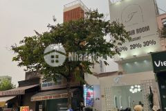 Cho thuê nguyên căn mặt tiền 5x20m đường nơ trang long nối dài