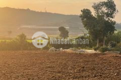 Cần tiền nên bán gấp lô đất kambute