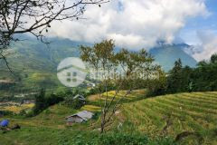 Bán mảnh đất view ruộng bậc thang cực đẹp ở tả van