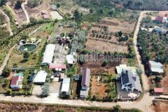 Đât nông nghiêp đươc chuyên đôi full xây dưng tai đa lat