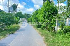 Cần bán lô đất 2 mt đường đoàn minh triết,thái mỹ củ chi 315m có 34m thổ cư giá chỉ 1.550 tỷ