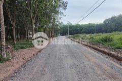 Chủ cần tiền nên cần bán gấp lô đất lai uyên 52 giá 670tr