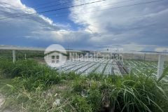 Cần tiền bán gấp lô đất ngay trung tâm thạnh mỹ