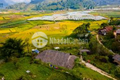 Cắt lỗ mảnh đất gần trung tâm sapa