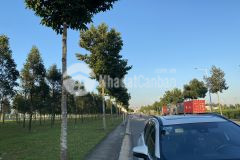 Mặt tiền n3b nhựa 25m trục cổng chính vào kcn becamex giai đoạn 1