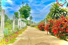 Đất đấu giá nhà nước,đại lộc cách kcn 1km đã có sổ hỗ trợ vay 70