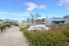 Lô goc 2mt gân nga năm đai hoc p8 đa lat