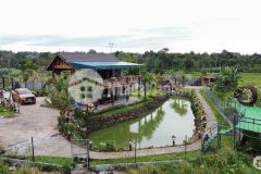 Bán 2123m2 view đồng lúa quá đẹp rất thích hợp mở cafe vườn tại hòa phong