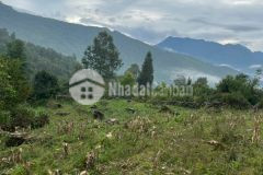 Cắt lỗ mảnh đất đẹp ở y tý diện tích 1200m2 view ruộng bậc thang