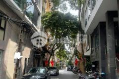 Bán nhà nguyên hồng, đống đa, phân lô, ô tô tránh, kd đỉnh, gần phố dt50m2x4t chỉ 13.2 tỷ