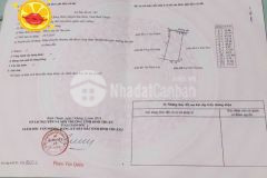 2ha đất cln sát ql28b mặt tiền đường sỏi hiện hữu tặng ngay 3 chỉ vàng lấy lộc