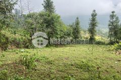 Cắt lỗ mảnh đất 342m2 ở y tý gần công viên choản thèn