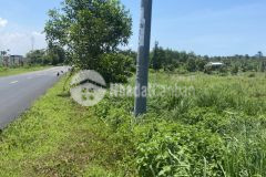 Bán 4ha đất kế sân bay thuộc huyện đất đỏ xã lộc an gần hồ tràm.