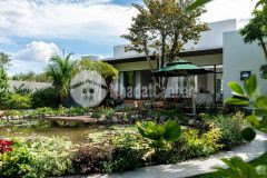 Làm nhà vườn cực chill view đồng lúa quá đẹp với 2135m2 đất tại hòa vang