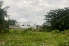 Chủ gấp bán đất 1 quách điêu vĩnh lộc a dt 20 x 50m giá 11 tỷ tl