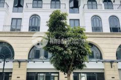 Chính chủ bán cặp shophouse 2 mặt tiền rẻ nhất vinhomes ocean park