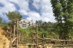 Cắt lỗ mảnh đất phù hợp để đầu tư kinh doanh nghỉ dưỡng ở sapa