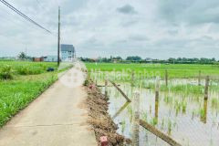 Chỉ 595tr có ngay shr 144m2 thổ cư tại xã tân bình. lh0989489993.