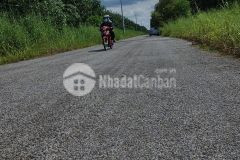 Tôi muốn bán miếng đất vườn bưởi
