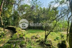 Êu phẩm hiếm có khó tìm, view thung lũng mường hoa cực đẹp.