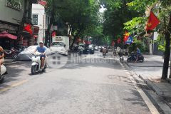 Biệt thự mặt phố hàm long lô góc 8 tầng thang máy kd đỉnh ở vip.