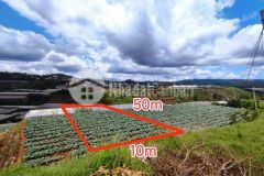 Ban đât xuân tho view săn mây điên gio