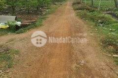 Gia đình bể nợ, kẹt tiền cần bán gấp 298tr 5x46x10m thổ cư, datbinhphuoc